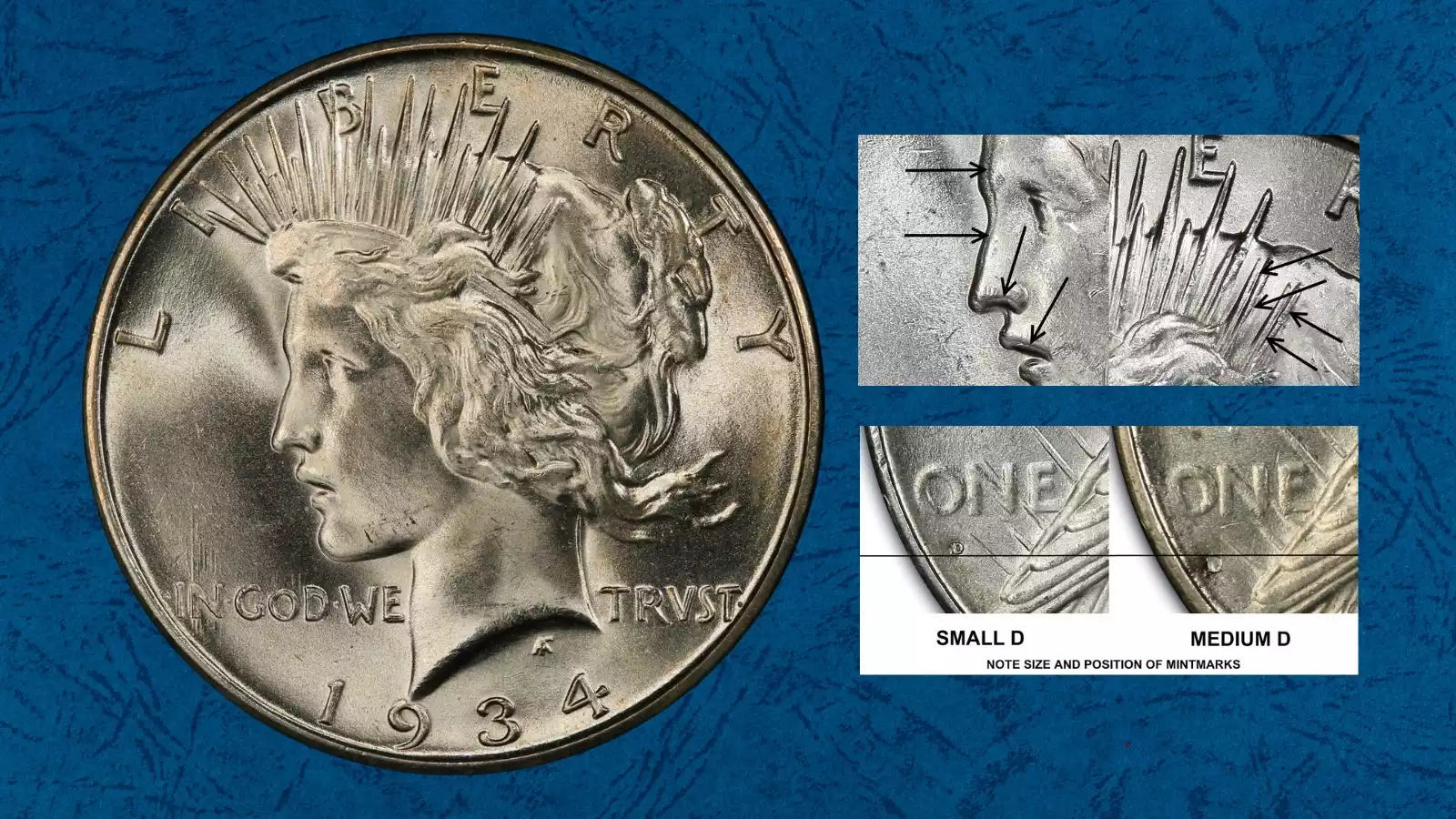 1934-D Peace Dollar DDO VAM-3 Medium D showing doubling on Liberty's nose and forehead tiara rays