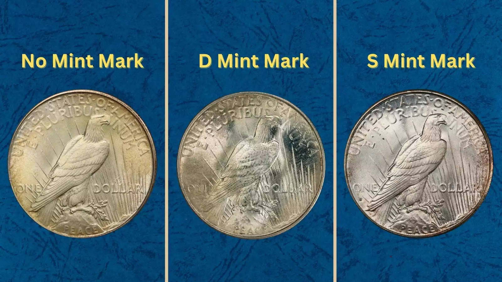 1934 Peace Dollars from all three mints — Philadelphia (no mark), Denver (D), and San Francisco (S) — showing mint mark comparison